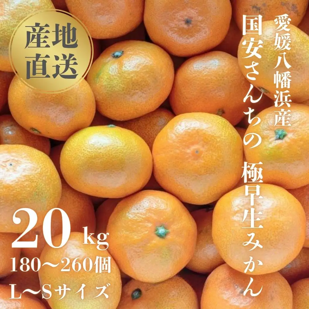 【先行受付】【創業85年 親子4代 愛媛みかん 一筋】愛媛八幡浜産 極早生みかん 20kg【H20-86】【1625218】 YWTI081