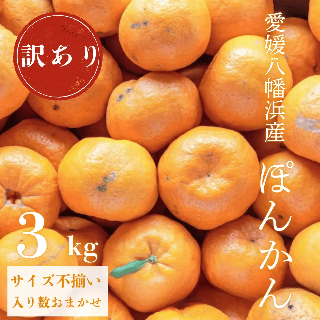【先行受付】【南国を感じさせる独特の香り】訳あり 愛媛ポンカン 3kg【C20-91】【1625439】 YWTI086