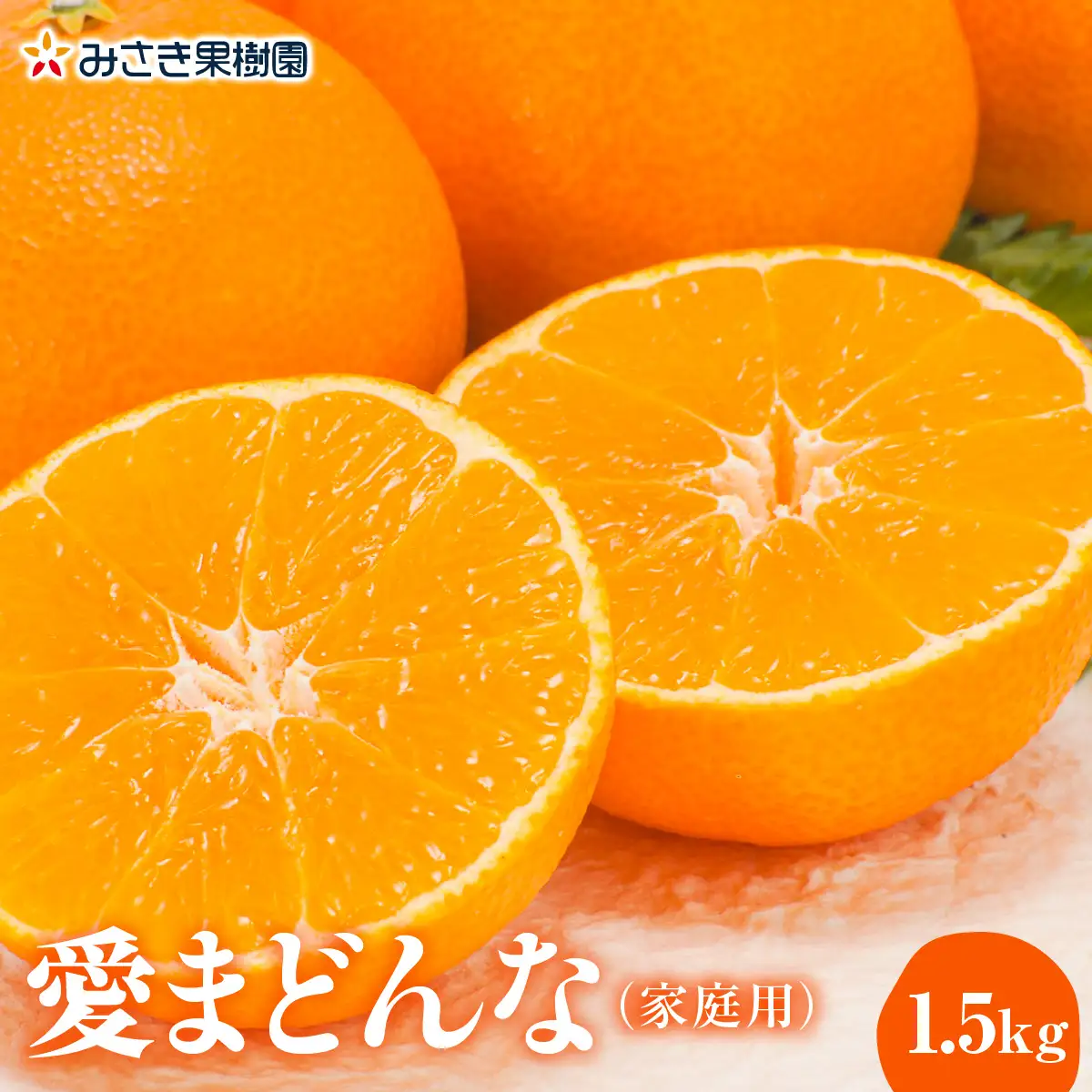 先行受付】愛まどんな 家庭用1.5kg【C21-42】YWTBC023 | 愛媛県八幡浜