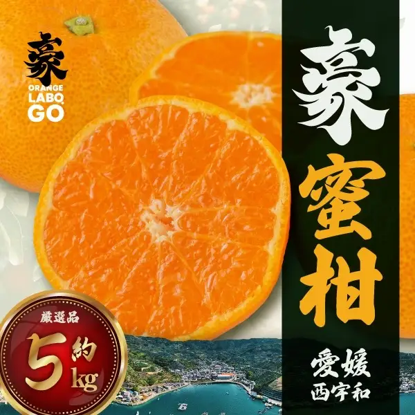 【先行受付】豪 蜜柑　5kg(S～Lサイズ)【C88-1】【1660442】  YWTE001