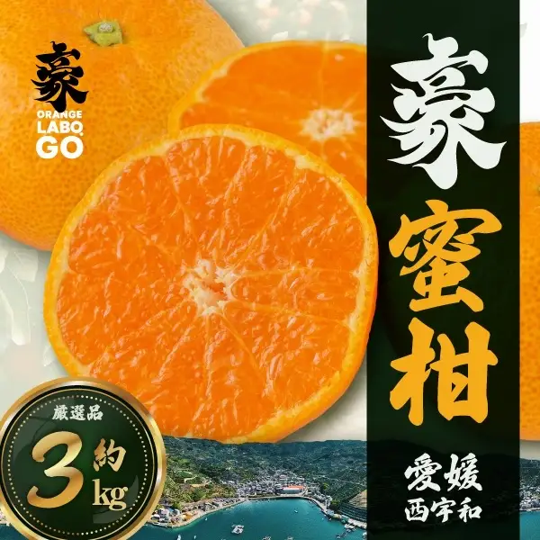 【先行受付】豪 蜜柑　3kg(S～Lサイズ)【C88-2】【1660449】  YWTE002