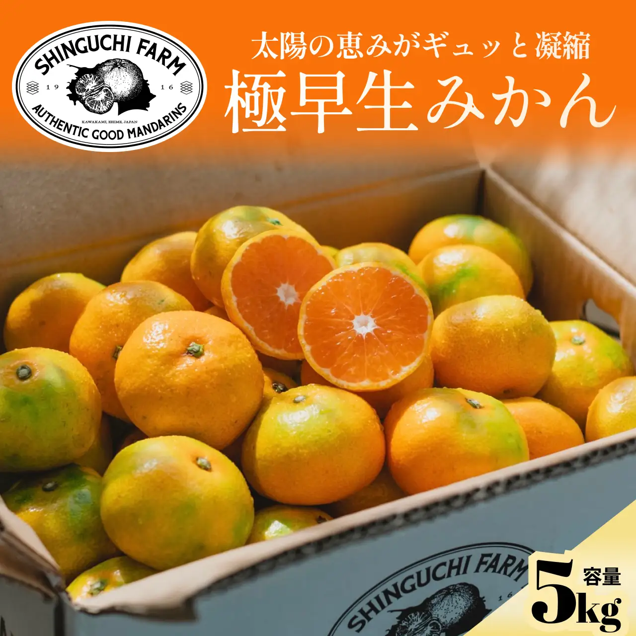 【先行受付】【小玉サイズ限定】五代目が厳選した極早生みかん5kg【愛媛県川上産】【C70-88】【1669130】 YWTK087