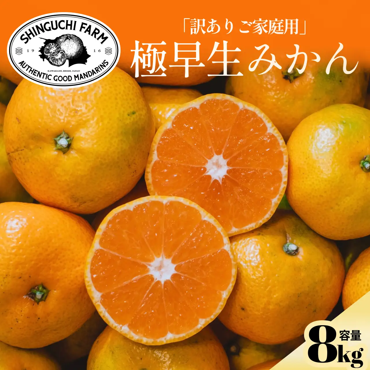 【先行受付】【訳ありだけど美味しさそのまま】極早生みかん 8kg【愛媛県産】【C70-102】【1674435】 YWTK101