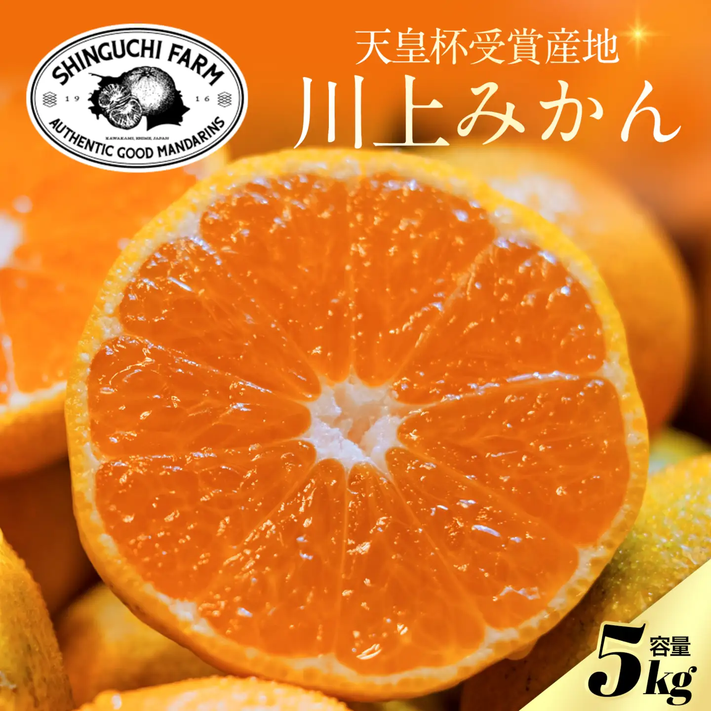 【先行受付】【天皇杯受賞産地】川上みかん 5kg【小玉】【愛媛県八幡浜市】新口農園厳選【C70-123】【1683975】 YWTK122