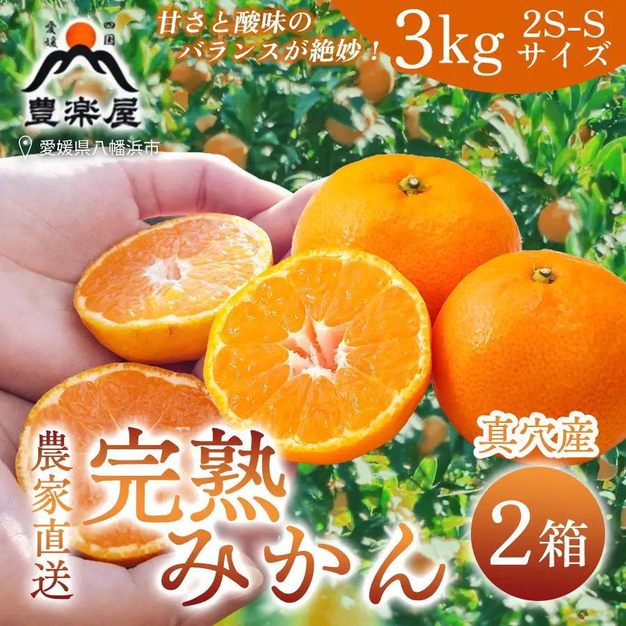 【先行受付】【農家直送でお届け!】果汁たっぷり真穴産みかん 3kg×2箱(2S～Sサイズ)【F98-18】【1711298】 YWTBU018