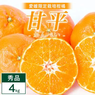 【先行受付】甘平 4kg 愛媛県 八幡浜市 西宇和地区 扁平で濃い味【E25-331】【1714520】 YWTAP272