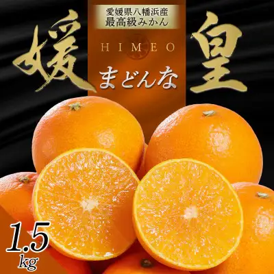 【先行受付】最高級みかん 媛皇 まどんな 1.5kg 愛媛県 八幡浜市 西宇和地区 希少品種【C25-366】【1717436】 YWTAP307