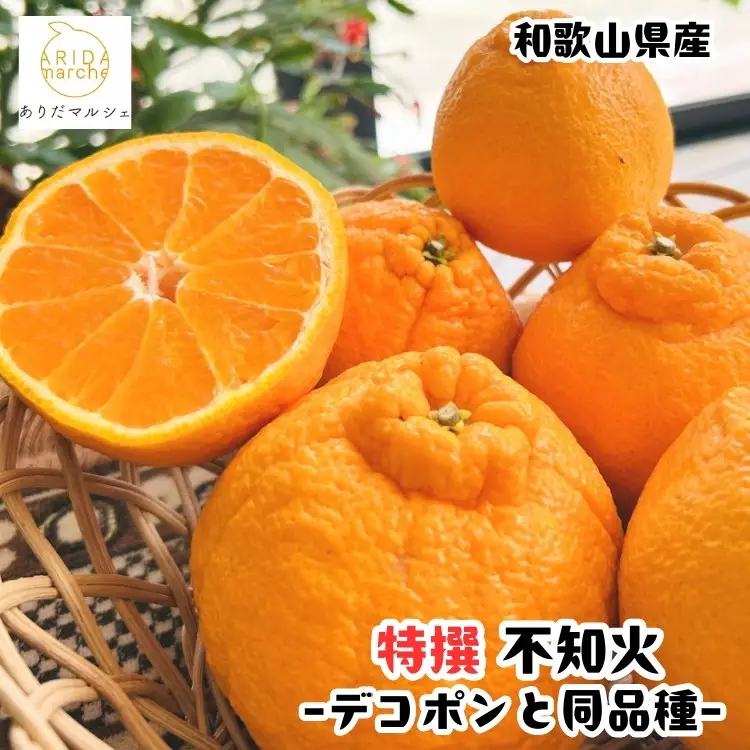 ［先行予約］特選 濃厚 不知火 5kg ［MS143］