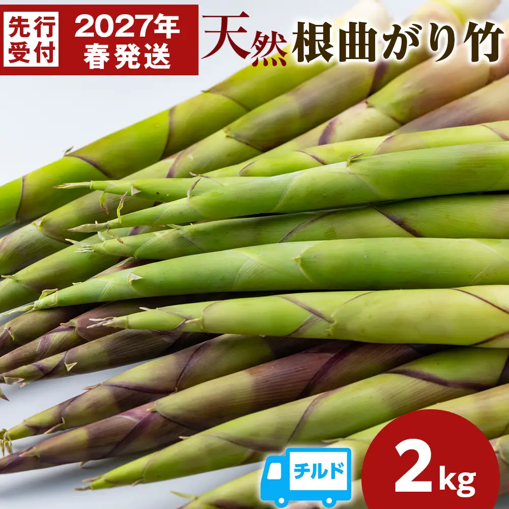 【2027年発送予約】天然 根曲がり竹 2kg 根曲竹 ネマガリタケ 姫竹 笹竹