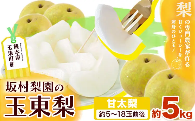 梨 なし 甘太梨 約5kg(5～18玉前後) 坂村梨園 《8月中旬-11月上旬頃出荷》熊本県 玉東町 秋 旬 梨 フルーツ 果物 期間限定