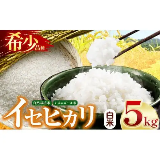 自然栽培 イセヒカリ 5kg 白米 | 農薬 肥料不使用 天日干し