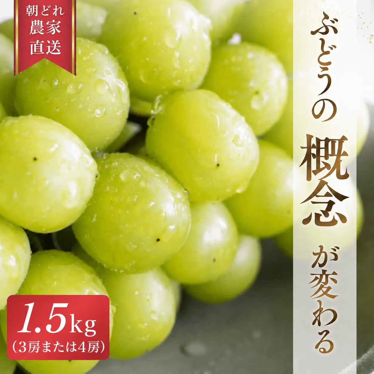 【2026年先行予約】 糖度18度以上！朝採れシャインマスカット 1.5kg (3房または4房) ぶどうの概念が変わる よしだ葡萄園の極上品【10月上旬～10月下旬頃に順次発送】 / ぶどう シャインマスカット 果物フルーツ 贈答品 贈り物 岡山県 真庭市【ysdb002】