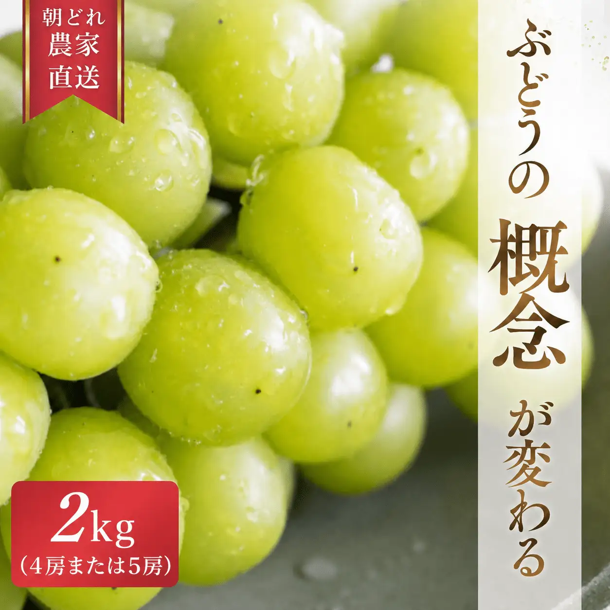 【2026年先行予約】 糖度18度以上！朝採れシャインマスカット 2kg (4房または5房) ぶどうの概念が変わる よしだ葡萄園の極上品【10月上旬～10月下旬頃に順次発送】 / ぶどう シャインマスカット 果物フルーツ 贈答品 贈り物 岡山県 真庭市【ysdb003】
