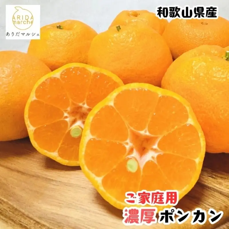 【先行予約】【極甘柑橘】有田育ちの 濃厚 ポンカン（訳あり 家庭用）約10kg+200g(痛み補償分) ※2027年1月上旬～3月上旬に順次発送 ※着日指定不可【ard247A】