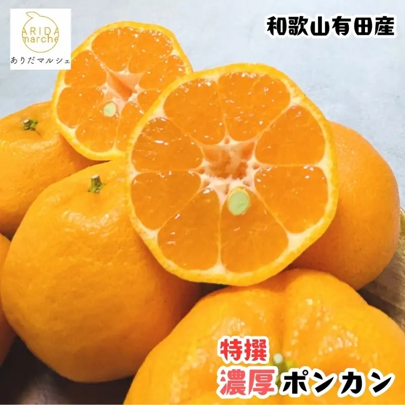 【先行予約】極甘 柑橘 特撰 濃厚 ポンカン 3kg+200g(痛み補償分)※2027年1月上旬～3月上旬に順次発送 ※北海道・沖縄・その他離島地域は発送不可【ard243A】