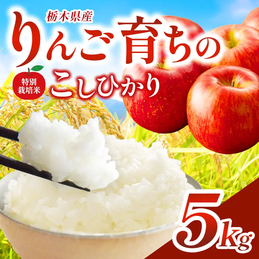 お米 矢板市特別栽培米「コシヒカリ」りんご育ちの こしひかり 5kg 
