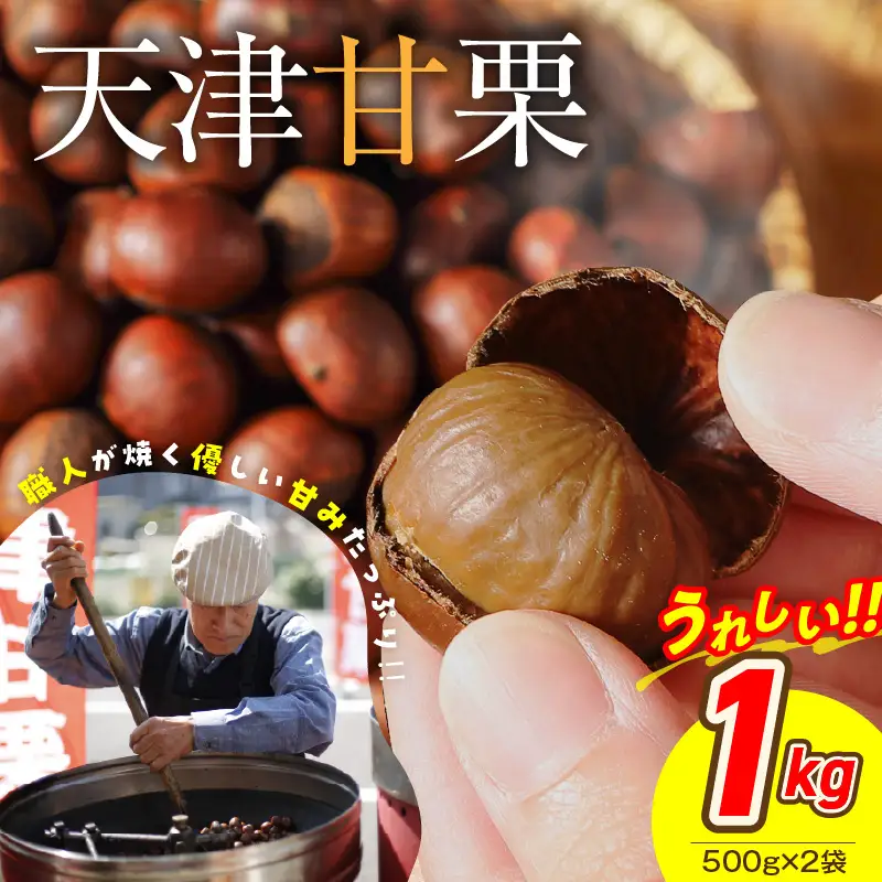 この道50年の職人が焼く､やさしい甘みたっっっぷり！｢天津甘栗｣ 1kg 焼きたて 栗 くり 栗爪 殻付き お菓子 おつまみ 人気 高リピート 小分け 栗ご飯 栗きんとん 甘露煮 碧南市 H045-106