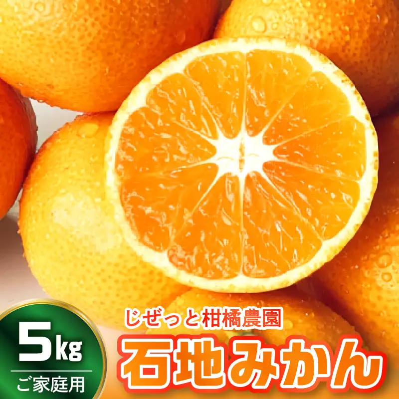 【先行受付】【2026年11月上旬～発送】滴る果汁・甘〜い石地みかん5kg 家庭用　ku212-001-26