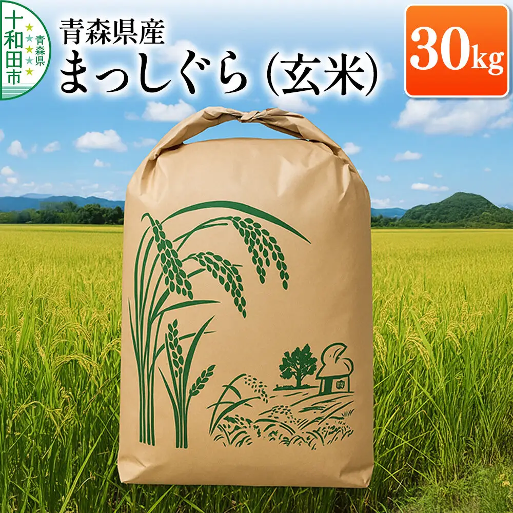 玄米 青森県産まっしぐら 30kg×1袋 令和7年産