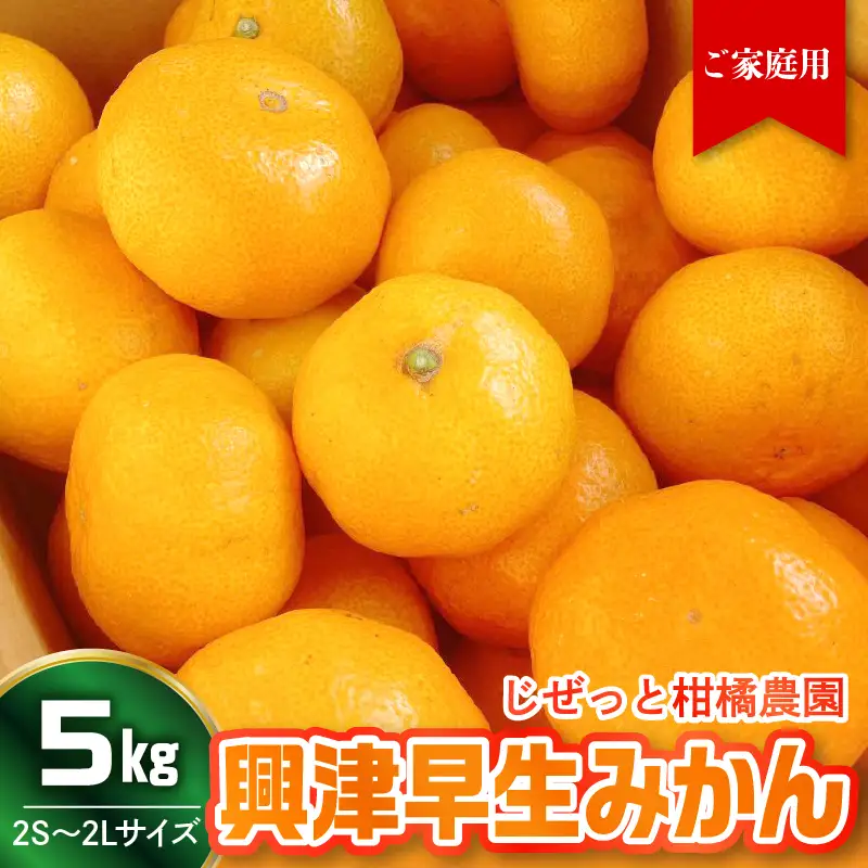 【先行受付】【2026年11月上旬～発送】甘さと酸味が丁度いい！濃厚興津早生みかん5kg 家庭用(2S〜2L：約55個）　ku212-006-26