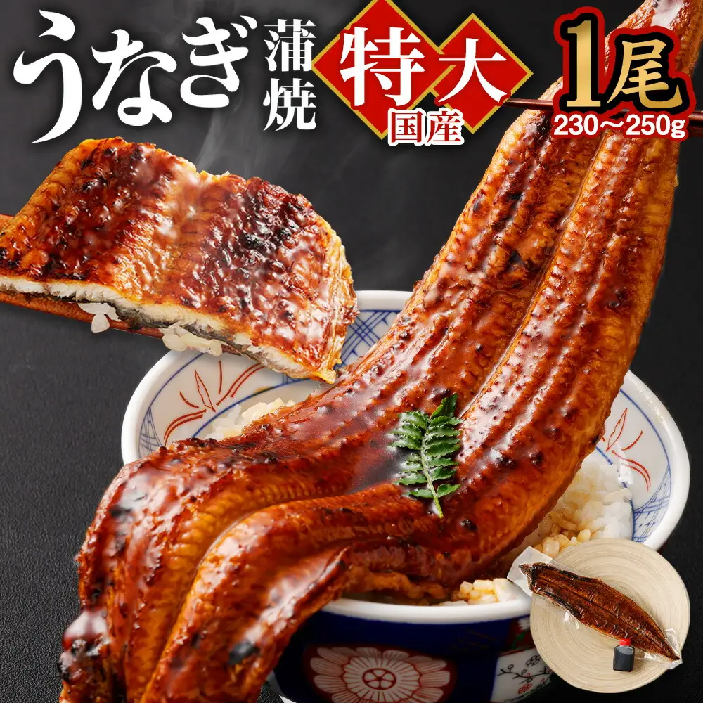 国産 うなぎ 蒲焼 1尾 （230g ～ 250g） と 特製タレ 1個 セット