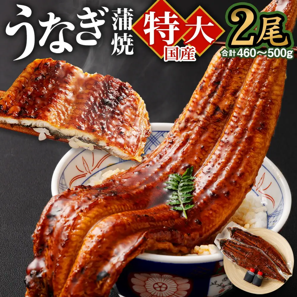 国産 うなぎ 蒲焼 2尾 （460g～ 500g）と 特製タレ 2個 セット 