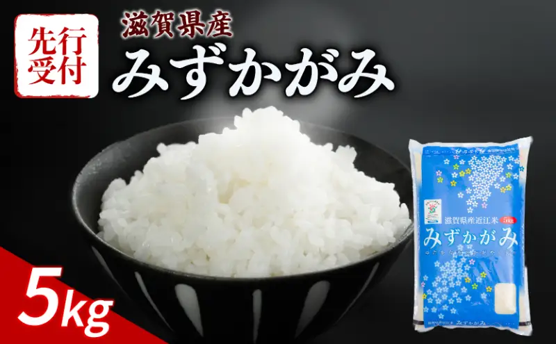 【先行予約】 みずかがみ 新米 新米 5kg 令和8年度産
