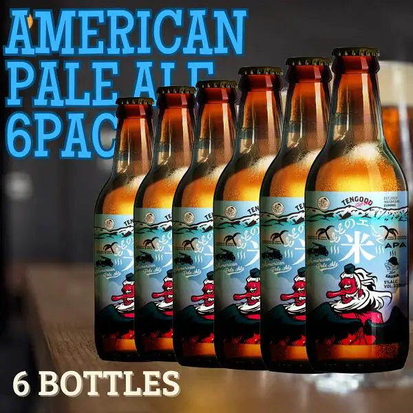 ビール ととのエール（米） 6本 テングビール