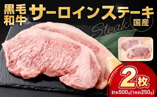 黒毛和牛サーロインステーキ 約500g（250g×2枚） お肉 肉 牛肉 黒毛和牛 にく ニク ステーキ サーロイン 冷凍 福岡県 北九州市