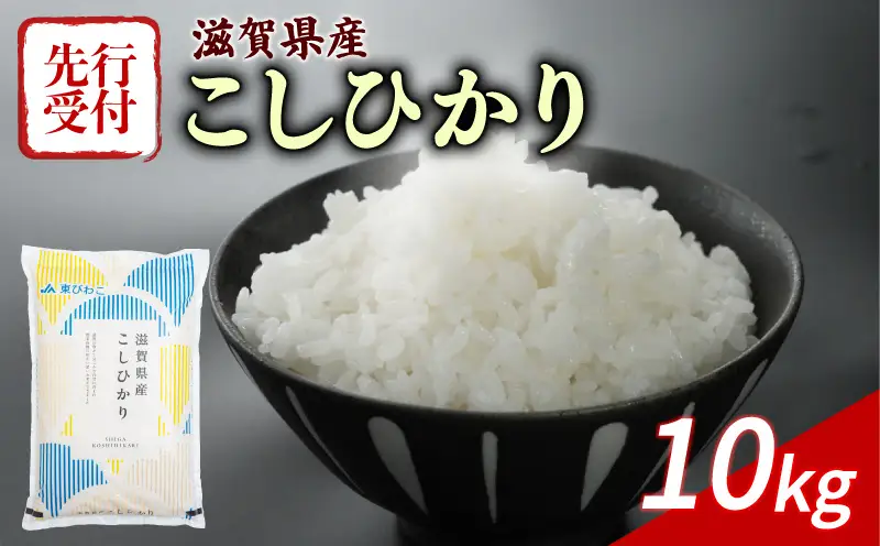 【先行予約】 こしひかり 新米 新米 10kg 令和8年度産