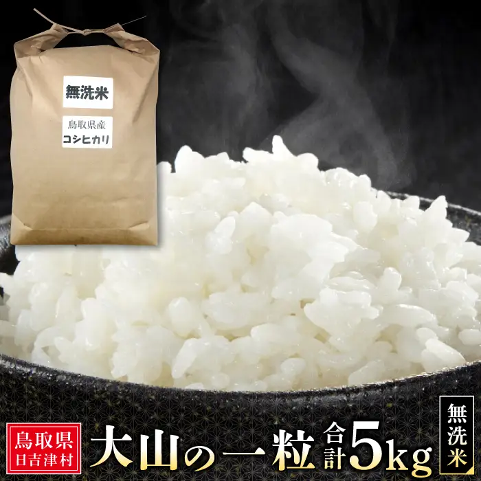 大山の一粒 無洗米 5kg【米 無洗米 5kg 5キロ こめ コメ むせんまい 先行予約 お米 白米 精米 こしひかり コシヒカリ 簡単 ごはん ライス kome 国産 お取り寄せ 鳥取県 大山町】