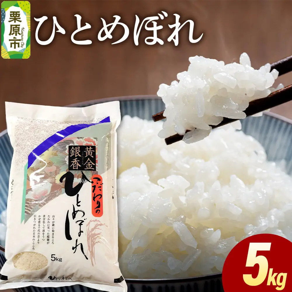 米 白米 令和7年産 ひとめぼれ 5kg