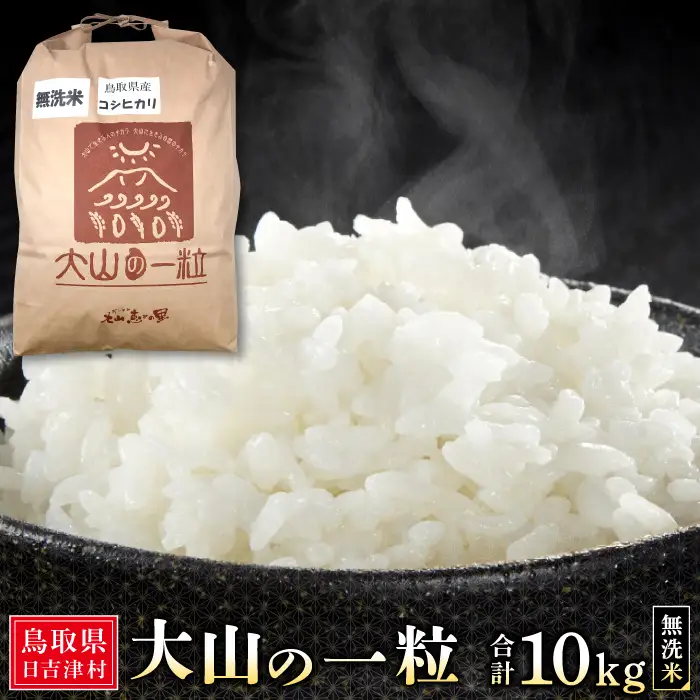 大山の一粒 無洗米 10kg【米 無洗米 10kg 10キロ こめ コメ むせんまい 先行予約 お米 白米 精米 こしひかり コシヒカリ 簡単 ごはん ライス kome 国産 お取り寄せ 鳥取県 大山町】