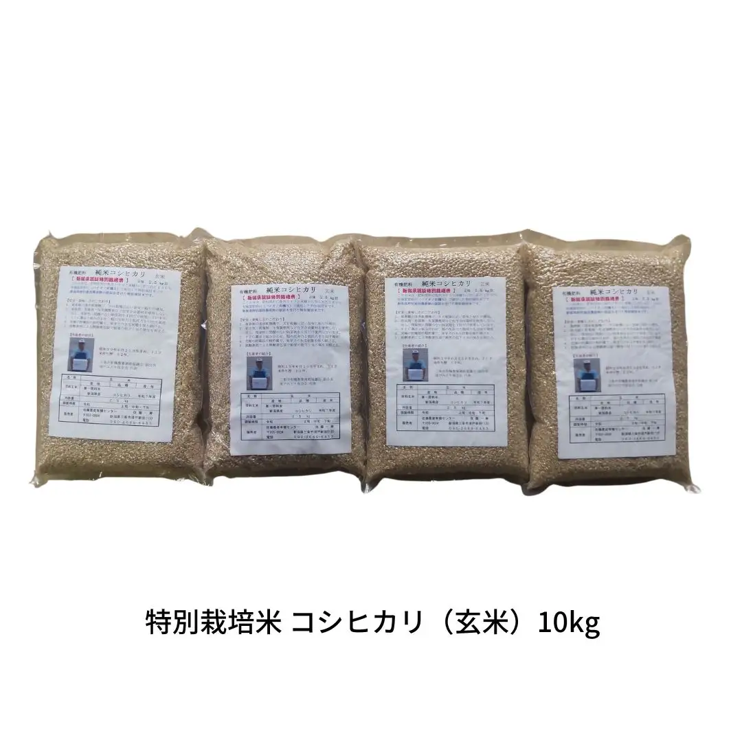 先行予約 特別栽培米 コシヒカリ 玄米 10kg 新潟県産米 令和8年 特別栽培米