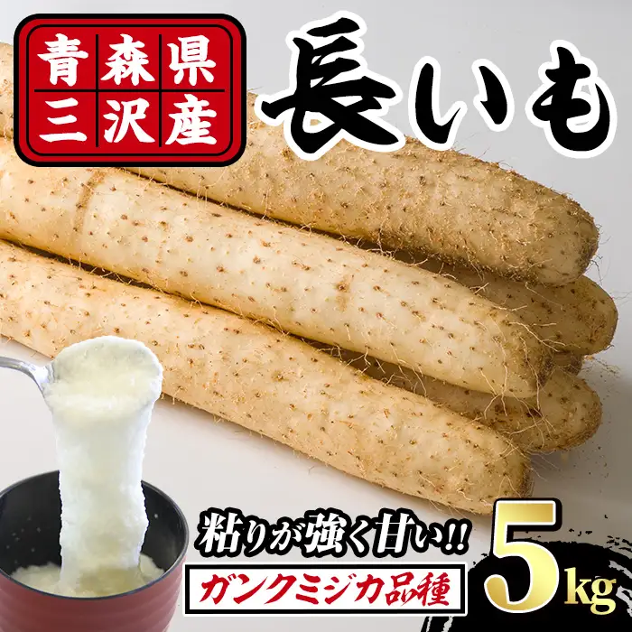 ＜先行予約受付中！R8年8月下旬以降順次発送予定＞青森県三沢市産 長いも (5kg) 野菜 やさい 根菜 とろろ 長芋 芋 いも 【おいらせ農業協同組合】【ms25-02】