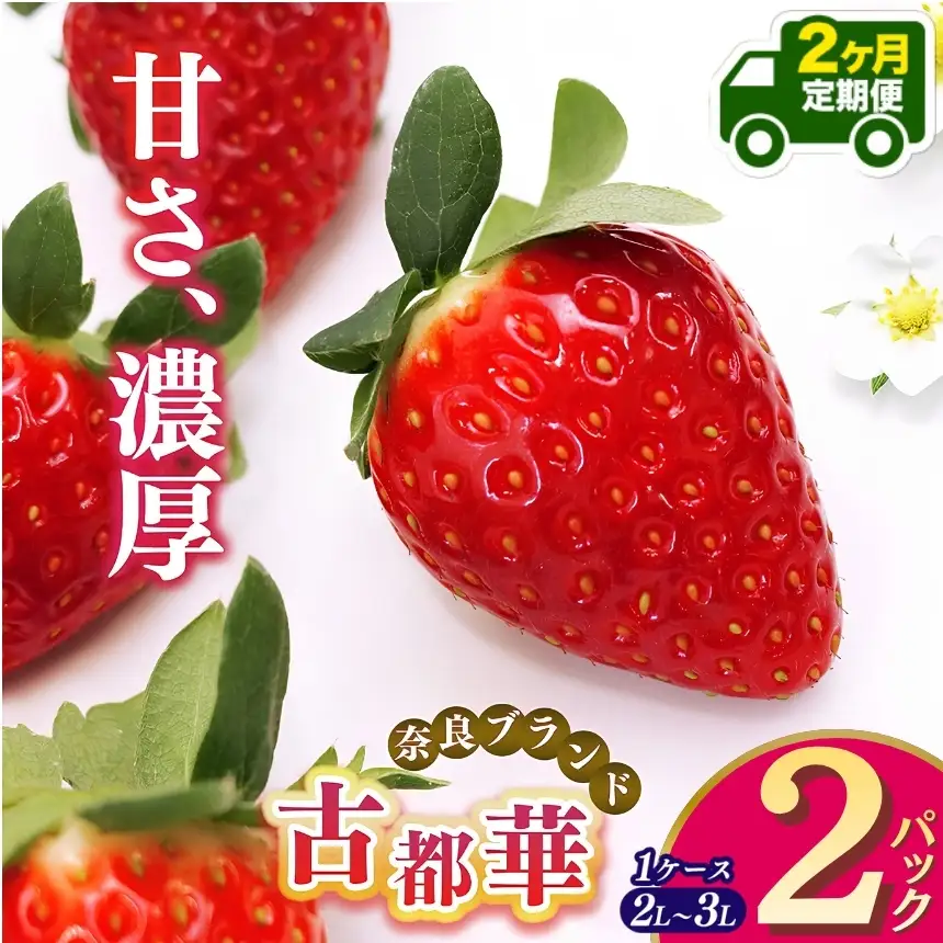 【定期便2回】平群の古都華 2L～3Lサイズ （2パック 1ケース） 計2パック | 先行予約 1月 2月 お届け いちご 苺 古都華 フルーツ 果物 くだもの ブランド 苺  甘い 大人気 旬 送料無料 濃厚 産地直送 辻本農園  奈良県 平群町
