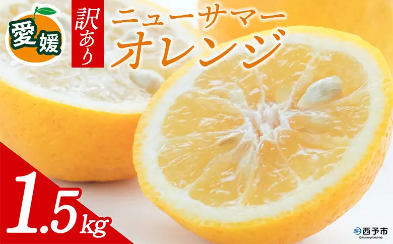 先行予約＜訳あり 愛媛県産 ニューサマーオレンジ 合計約1.5kg＞ 『2027年4月～5月に順次出荷予定』日向夏 小夏 ご家庭用 ご自宅 蜜柑 果肉 果物 柑橘 フルーツ オレンジ 国産 濃厚 果汁 産地直送 ミヤモトオレンジガーデン 愛媛県 西予市【常温】ONM0004