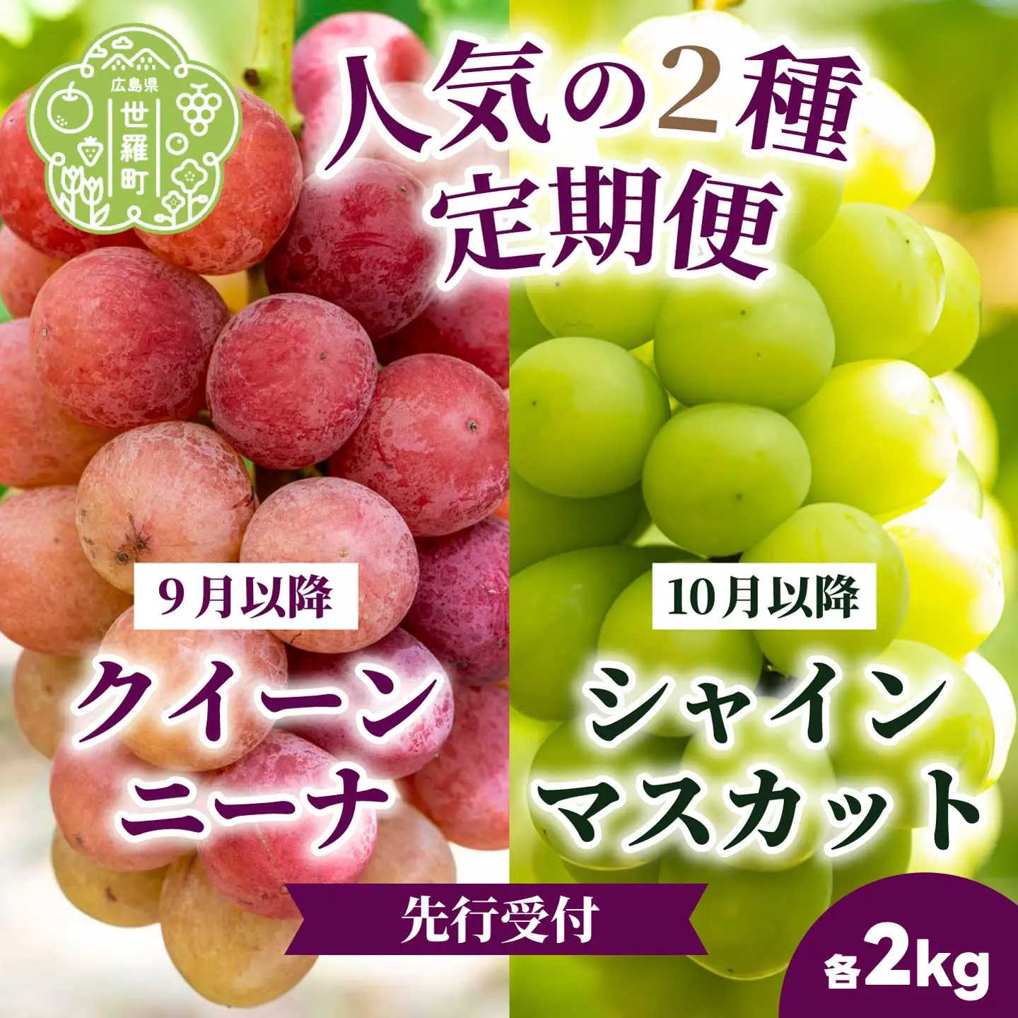【定期便2回】クイーンニーナ シャインマスカット 各2kg 安井農園 ぶどう ブドウ 葡萄 ピオーネ フルーツ 果物 くだもの 産地直送 世羅 A009-08