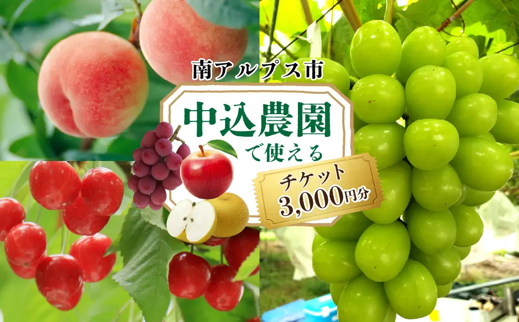 中込農園 クーポン券 3,000円 ALPFT001
