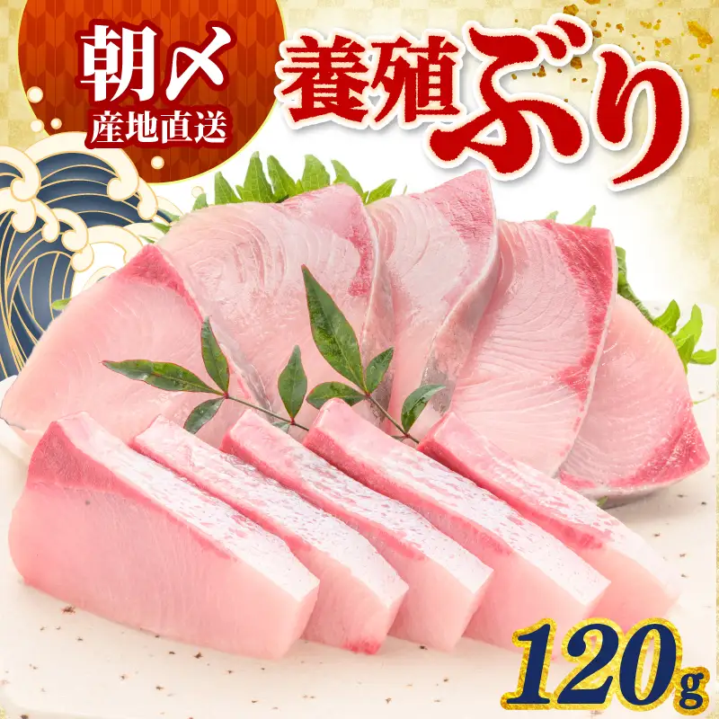 ぶり 120g 冷蔵 刺身 鰤