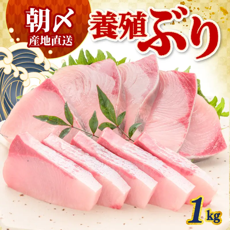 ぶり 1kg 冷蔵 刺身 ブリ 鰤 お刺身 たたき しゃぶしゃぶ 鍋 カルパッチョ 丼 鮮魚 魚 お届け指定日 指定日 お試し 新鮮 魚介 海鮮 海産物 海鮮丼 養殖 刺し身 お刺し身 ブロック フィレ 柵 ギフト 国産 贈答用 お歳暮 お中元 お祝い 人気 サンライズファーム 高知県 四国 宿毛