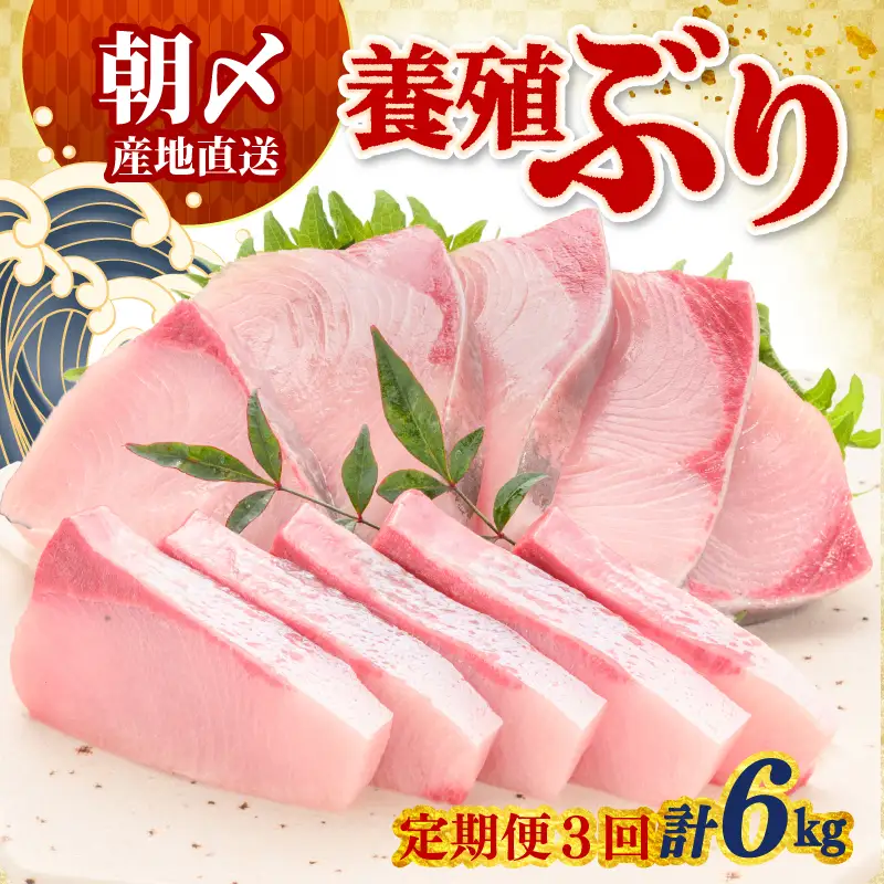 ぶり 定期便 2kg × 3回 冷蔵 鰤