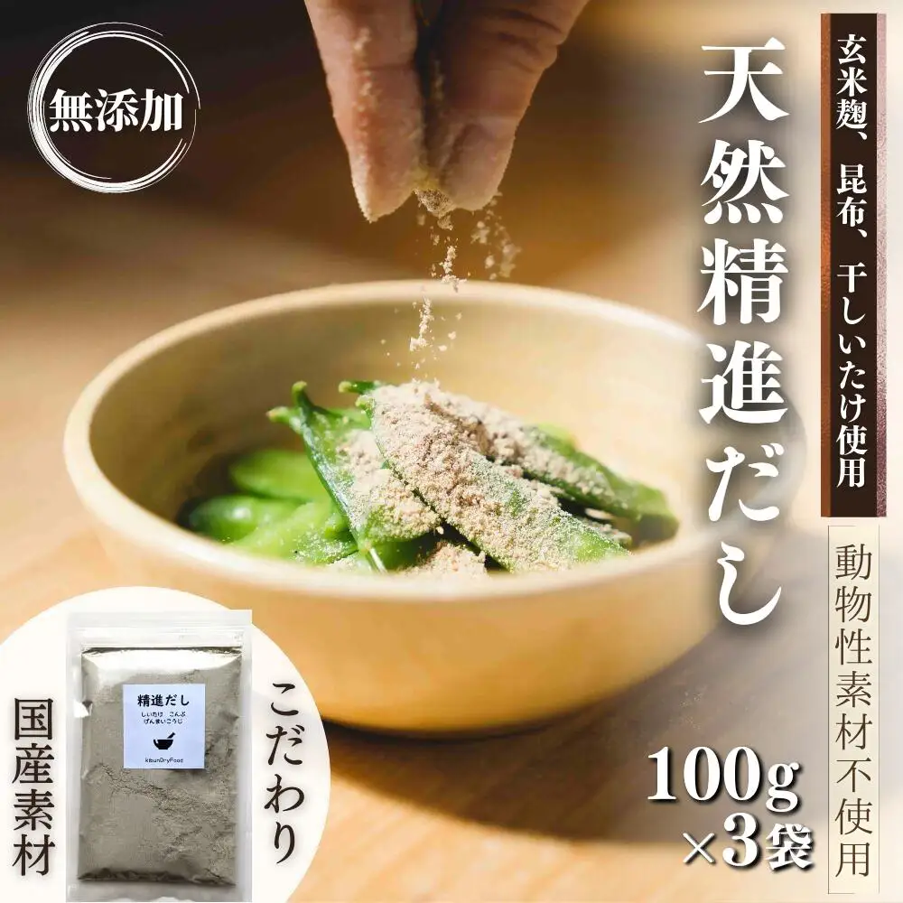 だし 天然精進出汁 100g×3袋 | だし