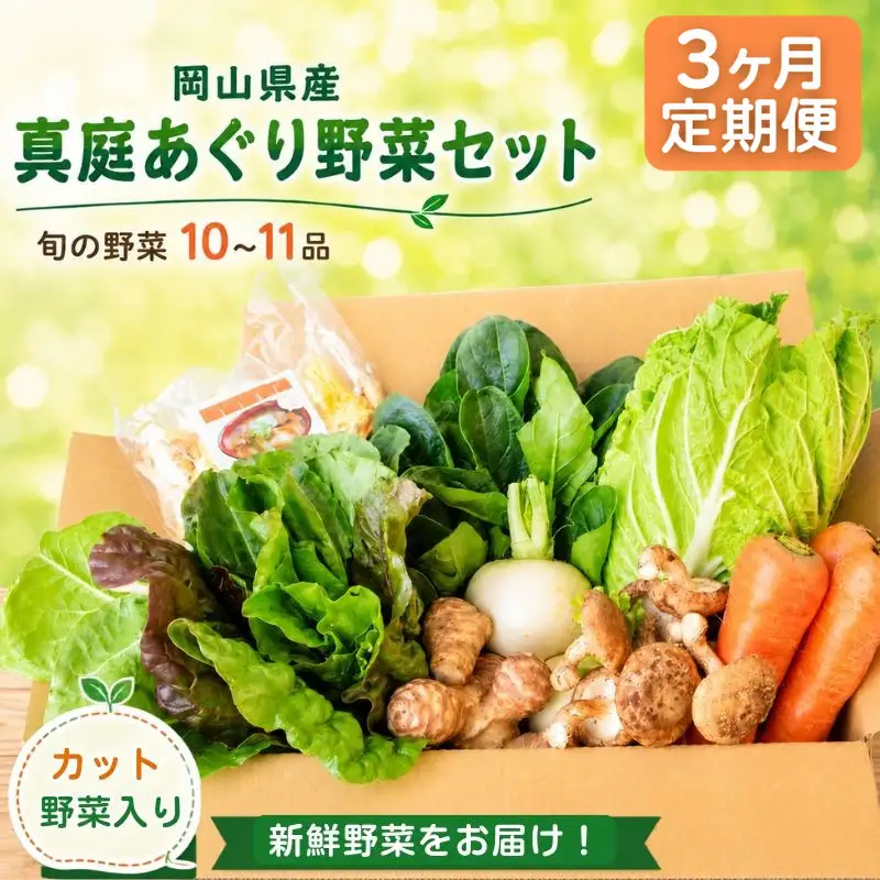 【3カ月定期便】真庭あぐり野菜セット カット野菜が1品入る 10～11品 / 産地直送 農家 お試し 岡山県 新鮮 あぐりガーデン 国産 【配送不可地域：北海道／沖縄県／離島】 【jujy-tkb051】