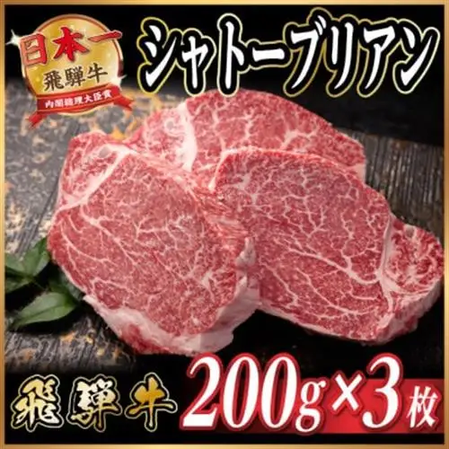 飛騨牛 シャトーブリアン 約600g(約200g×3枚)  黒毛和牛 ステーキ牛肉【配送不可地域：離島】【1733120】