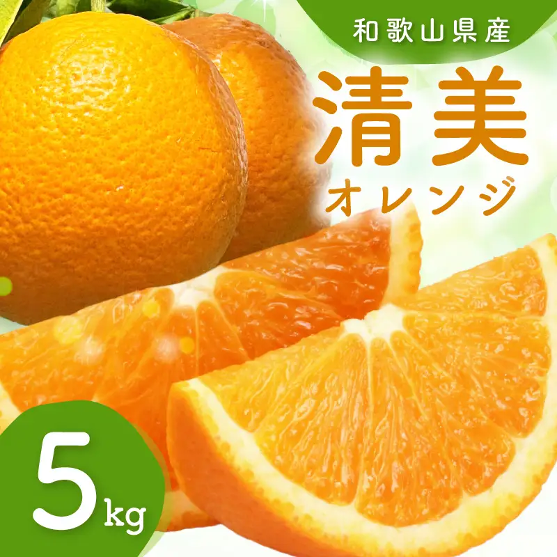 訳ありご家庭用清美オレンジ約5kgサイズ混合【1317-1】