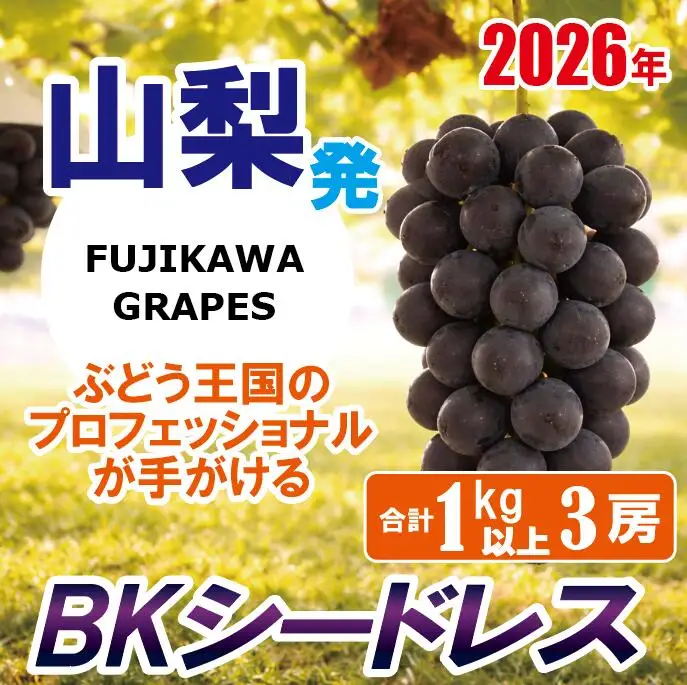 《秀品以上》上級品をお得に　【BKシードレス】　1.0kg以上（3房）　【2026年発送分 先行予約】- FUJIKAWA GRAPES -