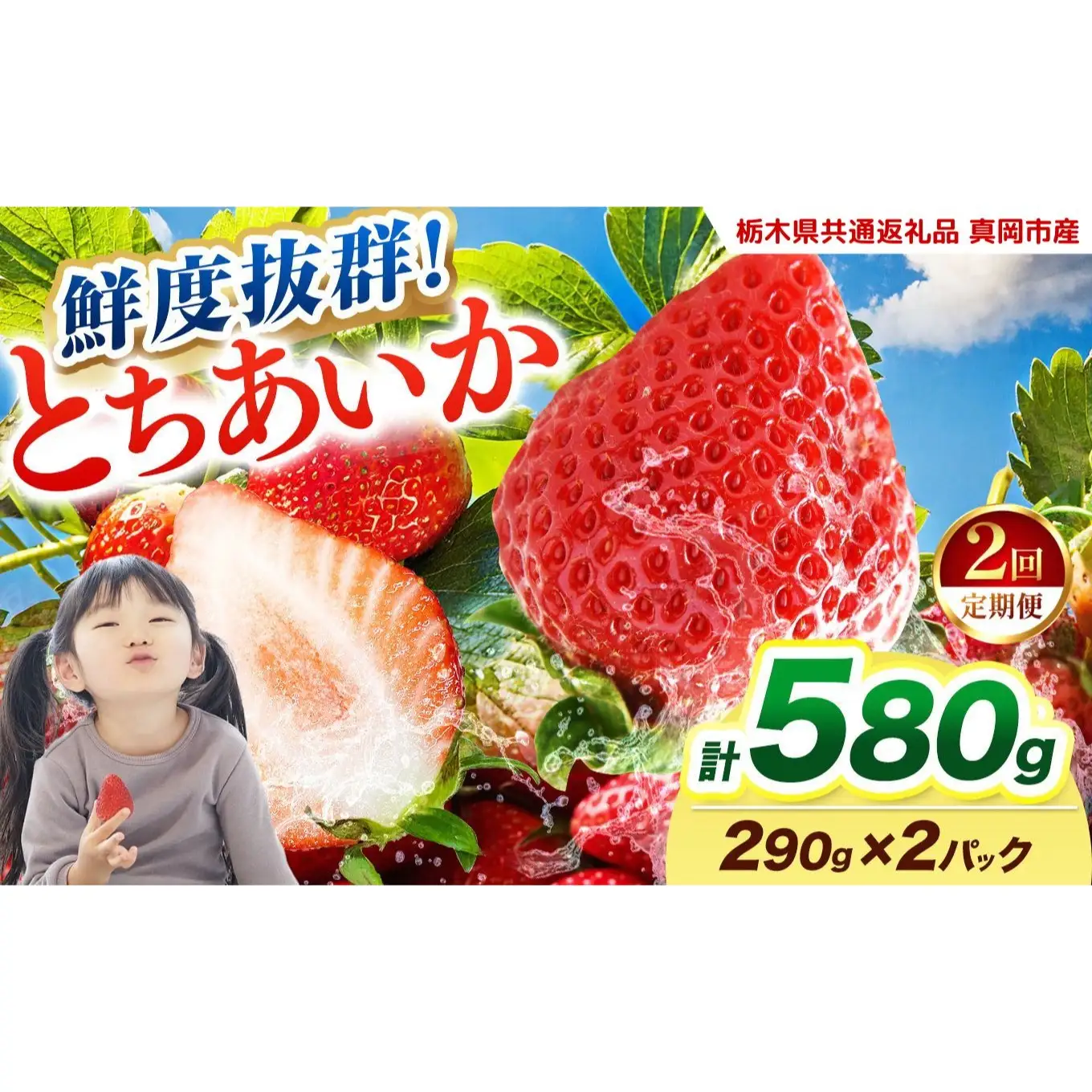  【2027年先行予約】〔定期便2回〕鮮度抜群 いちご とちあいか 290g×2P【栃木県共通返礼品 真岡市産】 栃木県矢板市