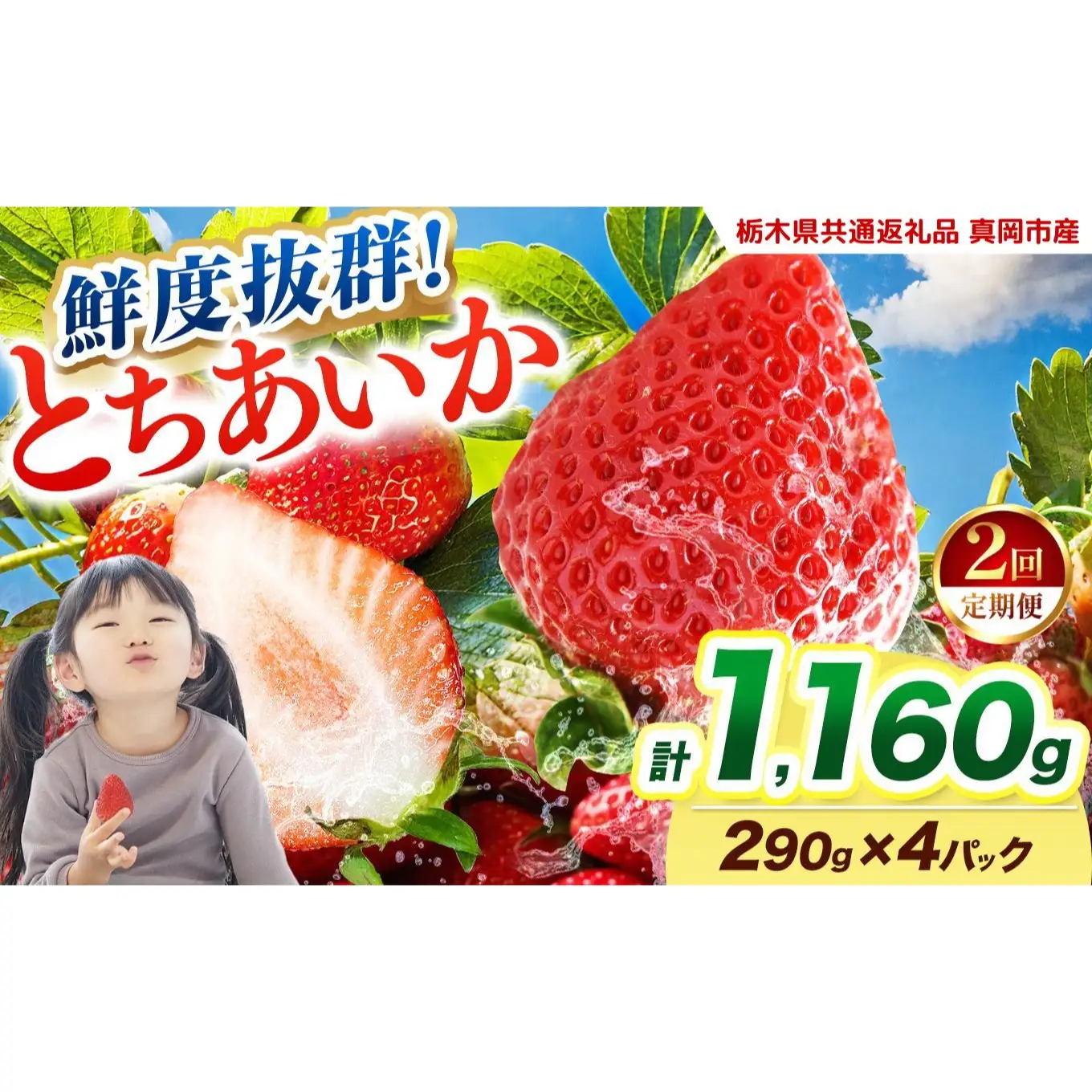  【2027年先行予約】〔定期便2回〕鮮度抜群 いちご とちあいか 290g×4P【栃木県共通返礼品 真岡市産】 栃木県矢板市
