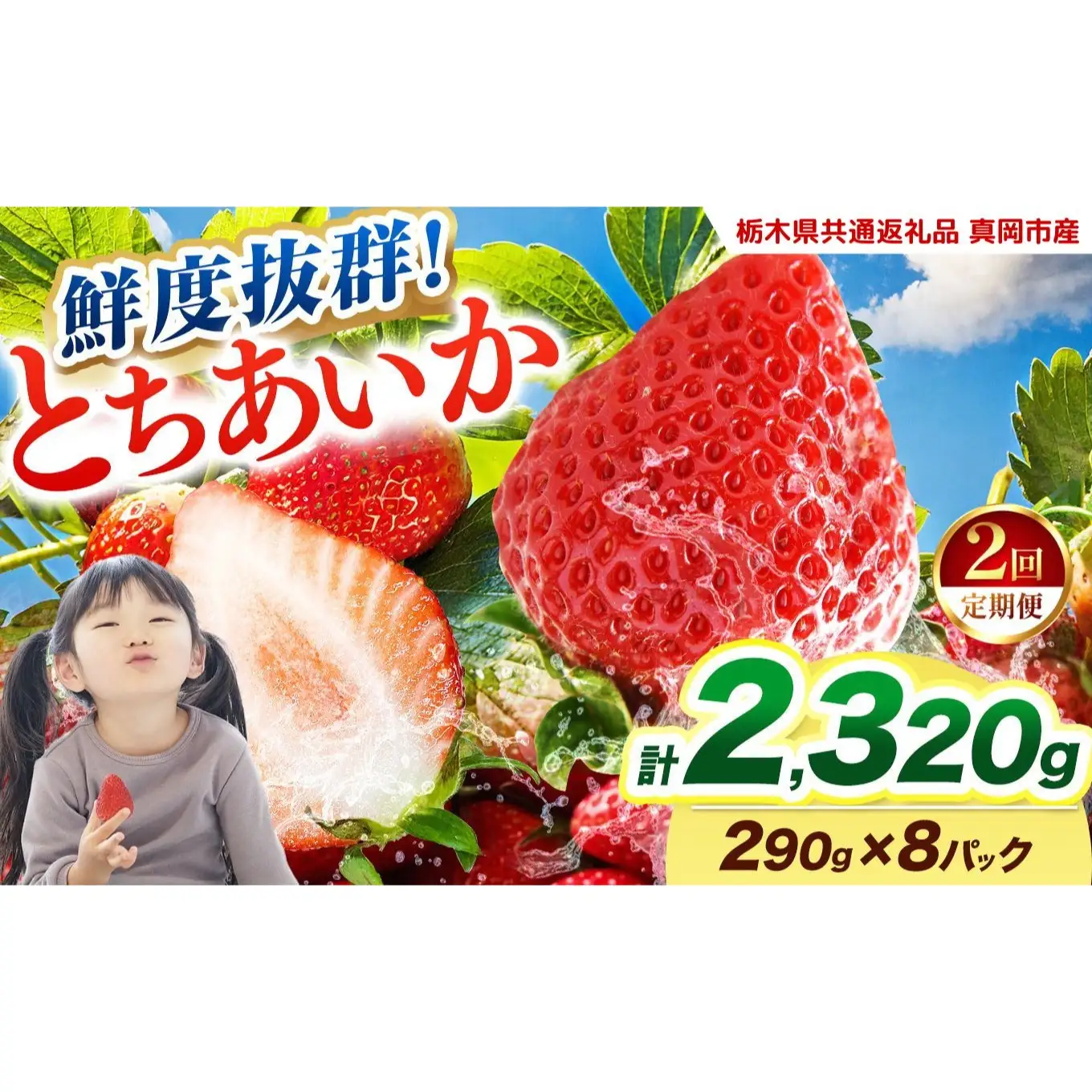  【2027年先行予約】〔定期便2回〕鮮度抜群 いちご とちあいか 290g×8P【栃木県共通返礼品 真岡市産】 栃木県矢板市